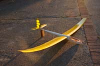 YellowHobie008